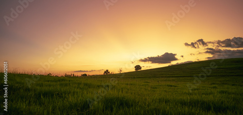 Beautiful Sunset  Amazing Sky