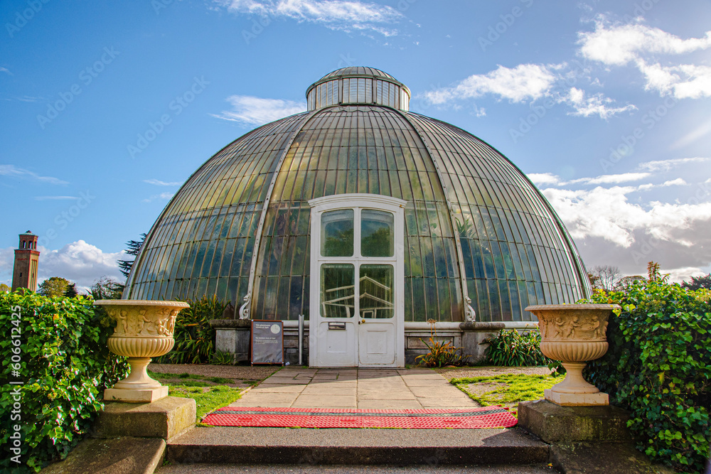 greenhouse in the garden greenhouse in the garden