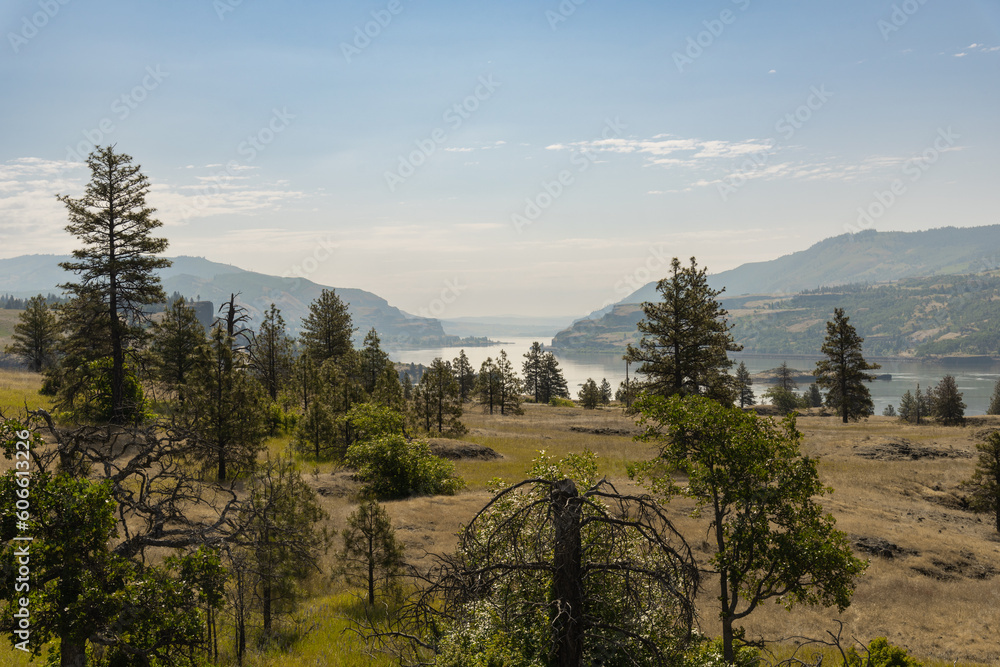 The beautiful landscape of the majestic Columbia River Gorge from Catherine Creek, Washington