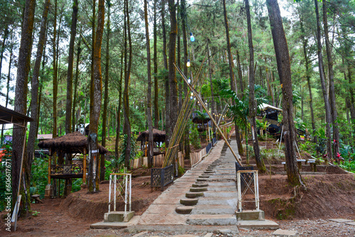 Educational tourism village in the forest, tourism village in Indonesia photo