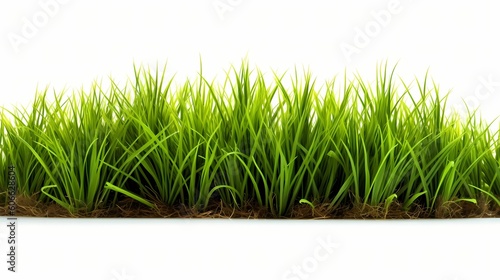 Gree Grass isolated in White. AI Generative Image