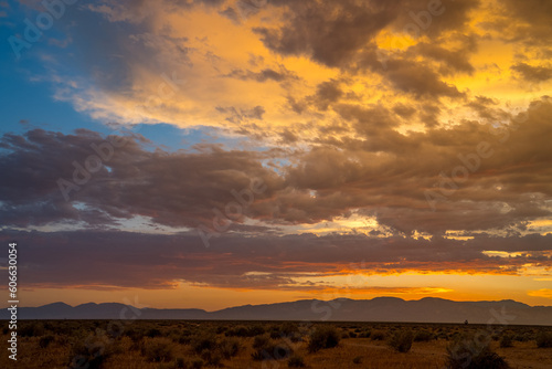 Silhouette Serenade: Sunset's Embrace on the Mojave Desert © FroZone