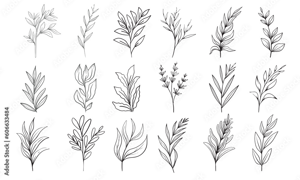 Hand drawn floral herbs set elements Hand drawn floral herbs set elements