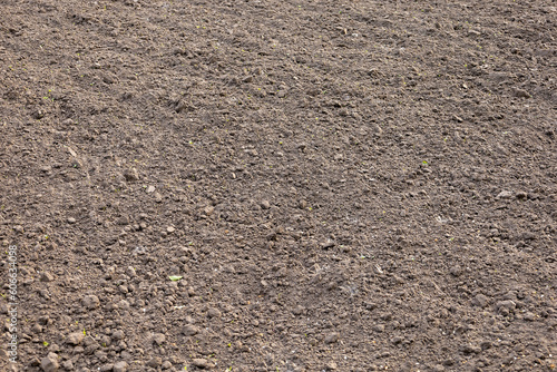Plowed land, soil, with young plant seedlings.