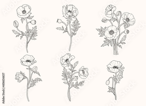 6 Hand-Drawn Poppy Bouquets Line Art Illustration