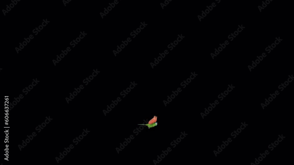 Green Macaw Pair - Two Parrot Birds - Flying Around Loop - 3D animation with alpha channel isolated on transparent background Green Macaw Pair - Two Parrot Birds - Flying Around Loop - 3D animation with alpha channel isolated on transparent background