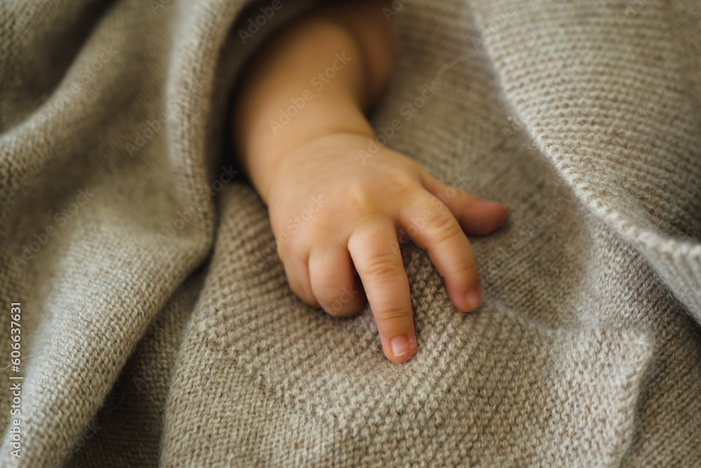Φωτογραφία Hand of a Latino Baby with Fingers Extended, Covered with a Gray-Brown Cashmere