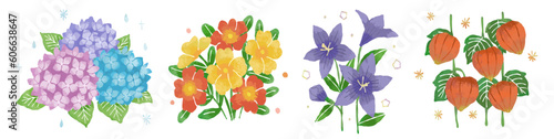 夏の花セット：あじさい、ポーチュラカ、桔梗、ほおずき photo