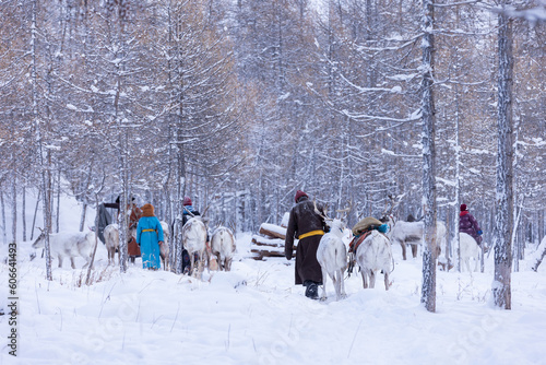 Reindeer herding in Mongolia is an ancient tradition practiced by the Dukha people, who rely on their domesticated reindeer for transportation, food, and clothing.