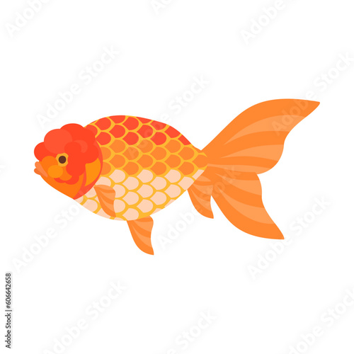 金魚（秋錦）。フラットなベクターイラスト。
Shukin goldfish. Flat designed vector illustration.