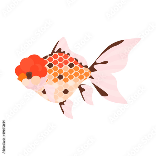 金魚（東錦）。フラットなベクターイラスト。
Azumanishiki goldfish. Flat designed vector illustration.