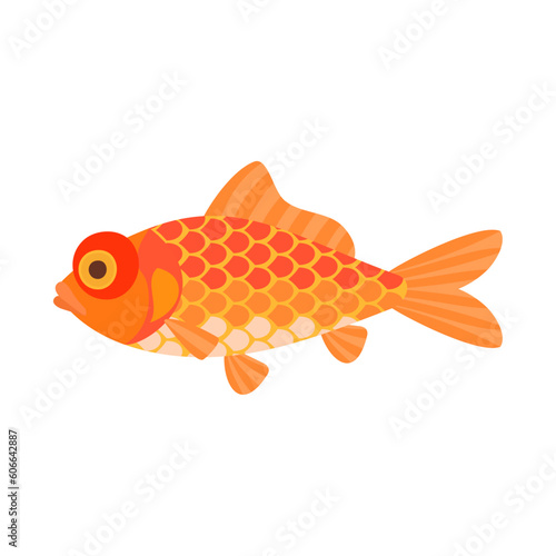 金魚（柳デメキン）。フラットなベクターイラスト。
Yanagi demekin goldfish. Flat designed vector illustration.