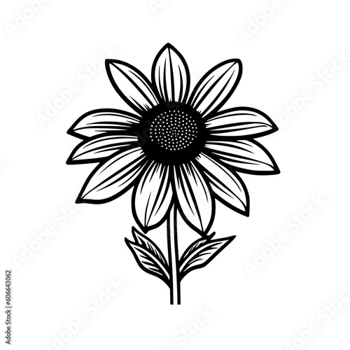 Black eyed susan flower vector illustration isolated on transparent background