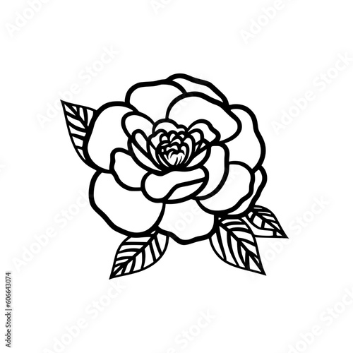 Camellia flower vector illustration isolated on transparent background