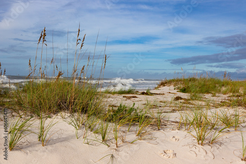 Green grassy sand dune in front of beach, surf waves and blue sky with clouds