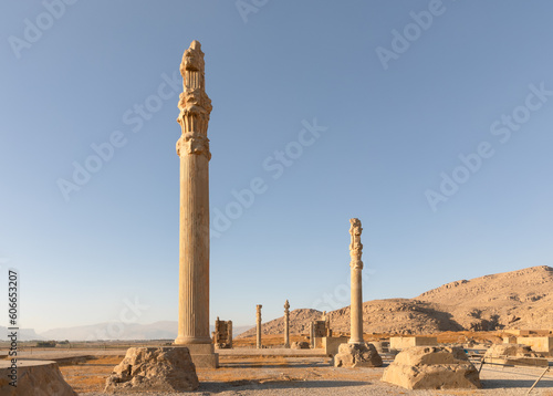 Columns of ruined Apadana or Audience Hall in Persepolis, founded by Darius the Great in 518 B.C. and capital of ancient Achaemenid Empire, 60 km northeast of Shiraz, Iran. UNESCO World Heritage.