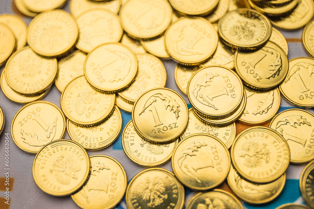 Gold Coins in the Economic and Financial World Gold Coins in the Economic and Financial World
