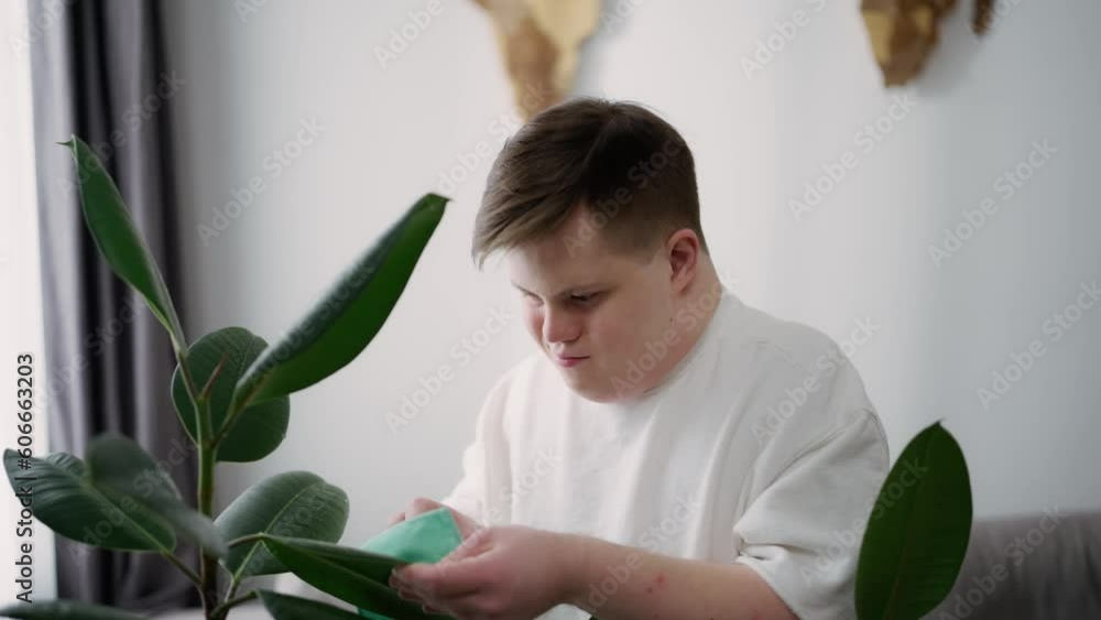 Man with down syndrome cleaning houseplants with care at home Man with down syndrome cleaning houseplants with care at home
