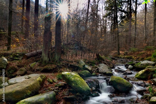 Harz