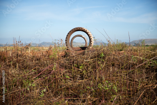 Old tyres in field