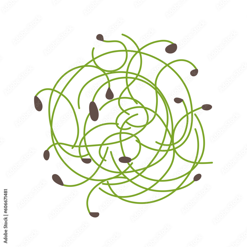 Fototapeta premium Fresh young microgreens onion on white background
