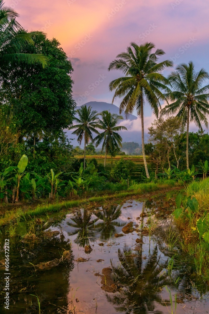 Beautiful morning view of Indonesia, Panoramic View of village nature with atmosphere, color and natural light from the sky