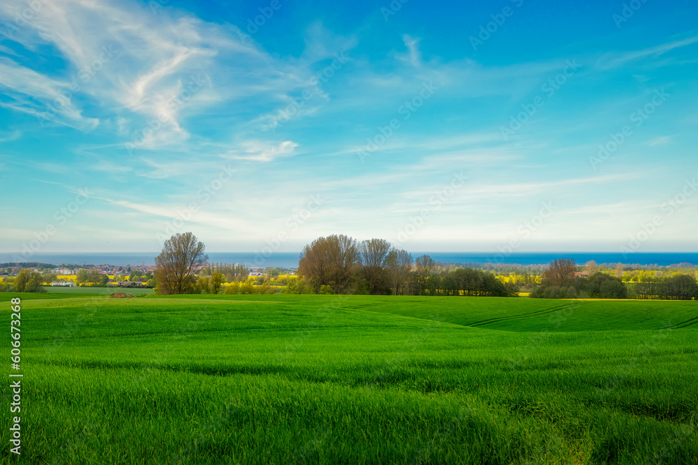 Obraz premium Ostseebad Kühlungsborn in Mecklenburg-Vorpommern
