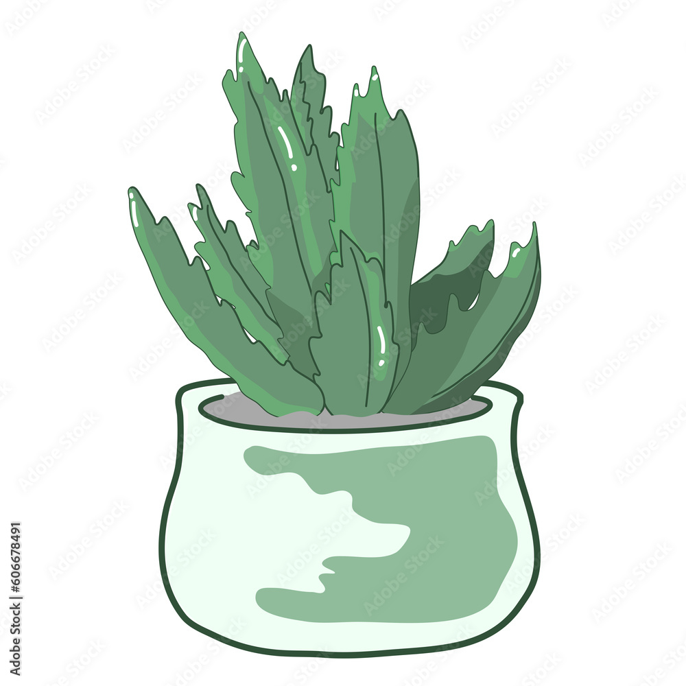 succulent plant in modern geometric cement planters
succulent plant in modern geometric cement planters