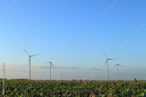фотографія Wind power plants at a potato field during the winter