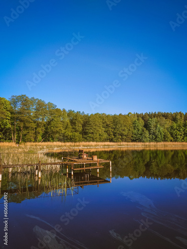 lake and forest