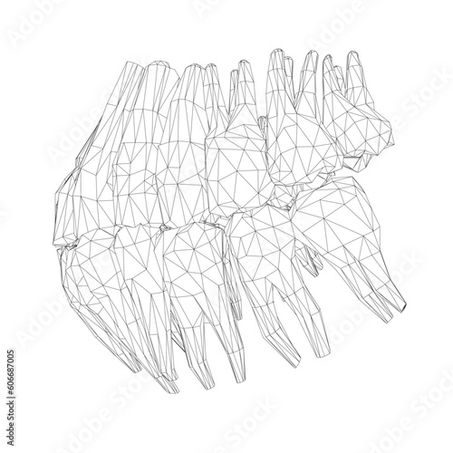 Teeth wireframe. Hand drawn different types of human tooth collection. Dentist graphic template. Engraving fangs and molars. Dental oral care. Toothache treatment. Vector stomatology set. 3D.