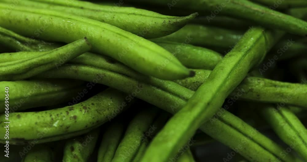 A fresh green asparagus bean rotating on a turntable. Dynamic close up product shot in 4K. A fresh green asparagus bean rotating on a turntable. Dynamic close up product shot in 4K.
