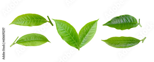 tea leaf on  transparent png © sommai