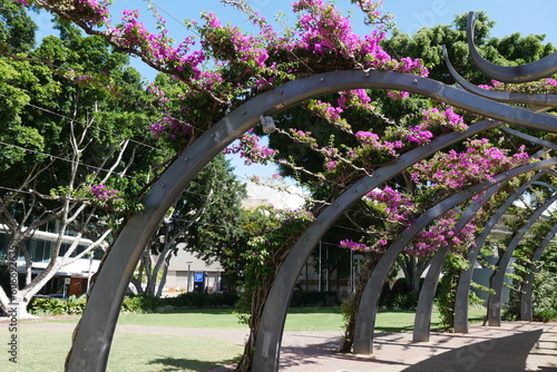 Parkanlage South Bank Parkland in Brisbane Australien photo