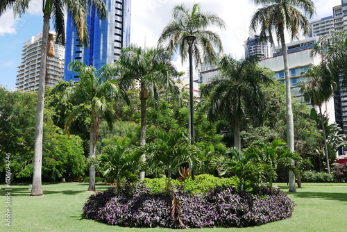 Palmen Botanischer Garten City Brisbane © Falko Göthel