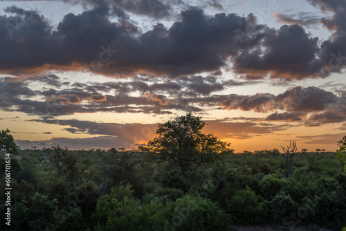 red sky at sunset over shrubland at Kruger park, South Africa
