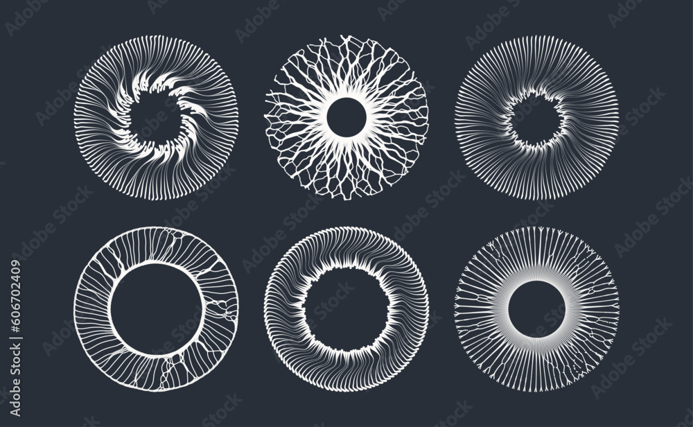 Circle frame element. Radial racy vector logo design. Array with dynamic particles of small particles in circle. 3D illustration for brochure, poster, presentation, cover, flyer or banner. Circle frame element. Radial racy vector logo design. Array with dynamic particles of small particles in circle. 3D illustration for brochure, poster, presentation, cover, flyer or banner.