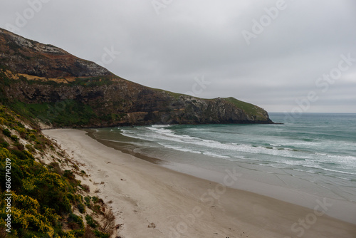 Untouched beach in New Zealand 