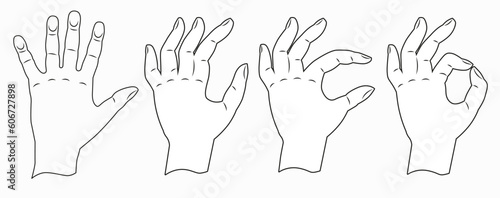 Hands show the sign everything is fine. Hands drawn with a thin line. Vector illustration.