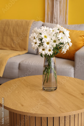 Vase with blooming chrysanthemum flowers on coffee table in interior of living room