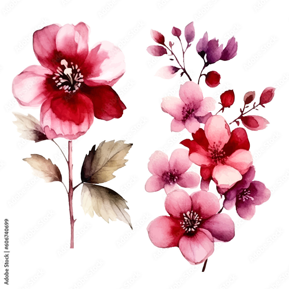 Set of burgundy floral watecolor. burgundy flower, flwers and leaves. Floral poster, invitation floral. Vector arrangements for greeting card or invitation design	