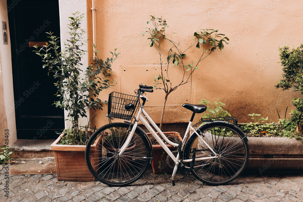 Bicycle parked on the street in Rome, Italy. Old bike against the orange wall at home. City transport concept. Lush green plants growing in pots near door of house
