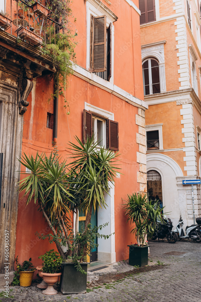 Typical street in Rome, Italy. Lush green plants growing in pots near door of house. Plants decorations, old town.