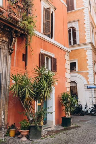 Typical street in Rome, Italy. Lush green plants growing in pots near door of house. Plants decorations, old town.