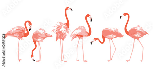Set of flamingo illustrations in different poses, isolated on the neutral background.