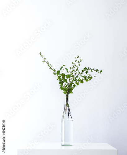 Composition in minimalist style. Spring tree branches in vase. Hard shadows and bright sunlight.