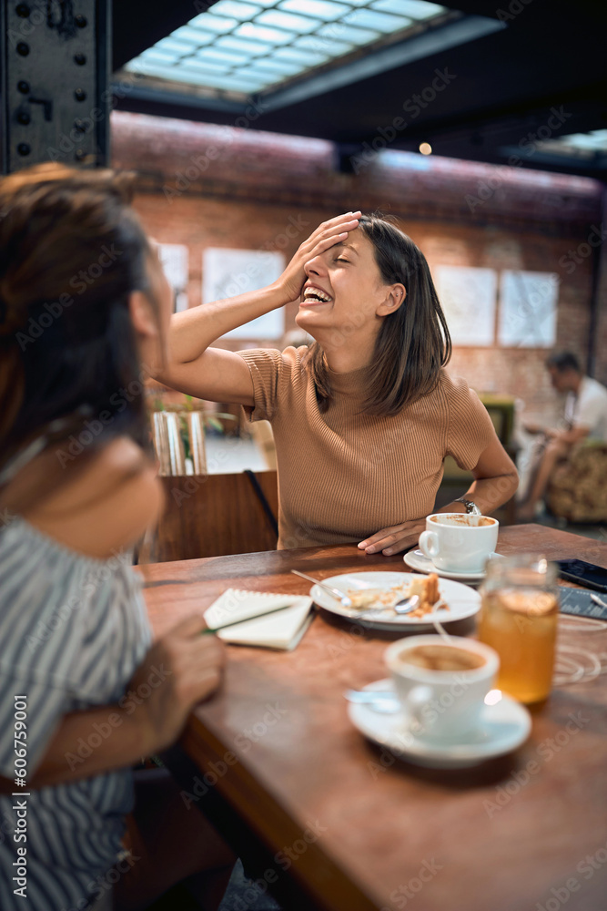 Two young girlfriends at cafe having fun and laughing, talking. Coffee break, lunch, togetherness concept. Two young girlfriends at cafe having fun and laughing, talking. Coffee break, lunch, togetherness concept.