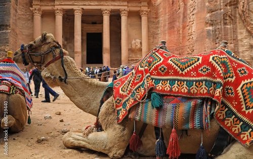 jordania petra ciudad perdida el tesoro-al khazna nabateo desfiladero rosa esculpida en la roca camello 4M0A0782-as23 photo