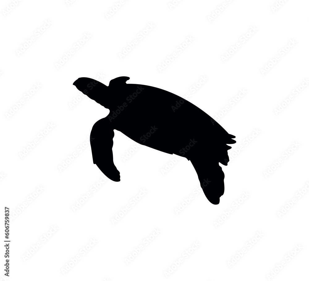 Turtle silhouette on white background Turtle silhouette on white background