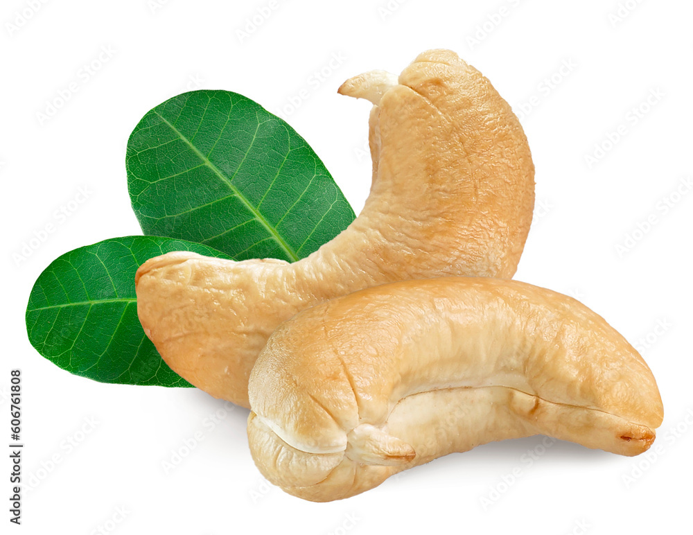 Roasted cashew nuts with green leaves isolated. Png transparency Roasted cashew nuts with green leaves isolated. Png transparency